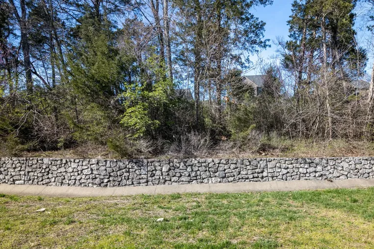 Backyard and tree line with a wooded buffer at the rear